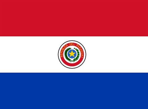 Paraguaian Flag